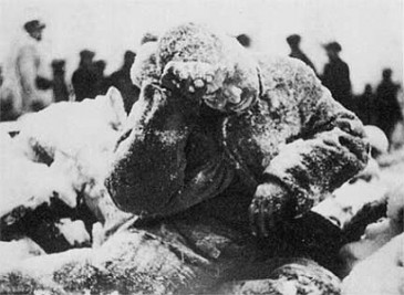 Радянсько-фінська війна. Як у карельських снігах загинула елітна українська дивізія.
